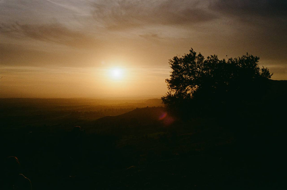 Digital burnout is real, and film photography is the escape
