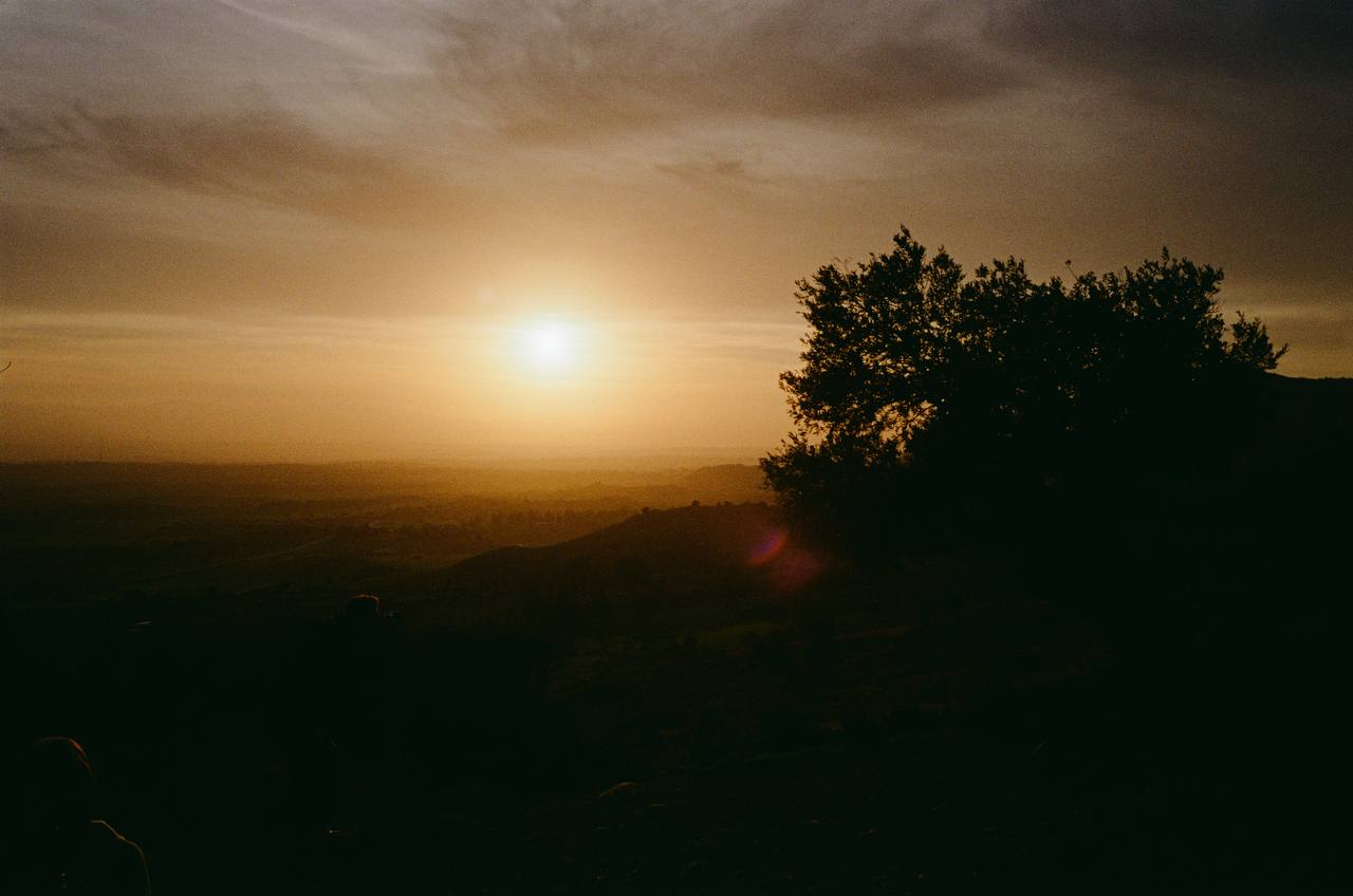 Digital burnout is real, and film photography is the escape